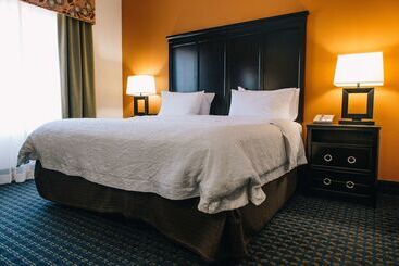 酒店 Hampton Inn & Suites Effingham