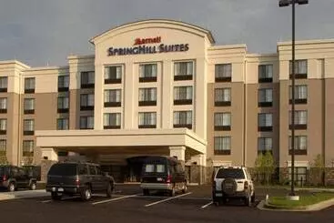 ホテル Springhill Suites By Marriott Wheeling Triadelphia Area