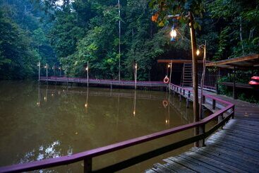 Borneo Tropical Rainforest Resort