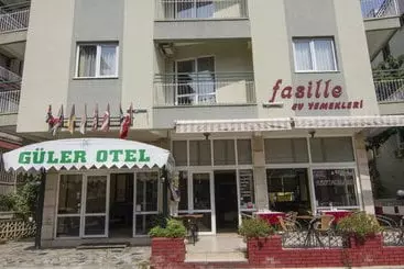 Hotel Guler