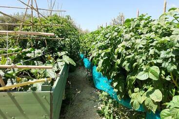 فندق La Fornella Dell Anita