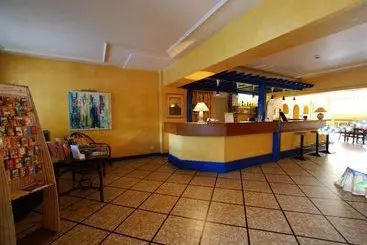 Villa Hotel du Lion d'Or  