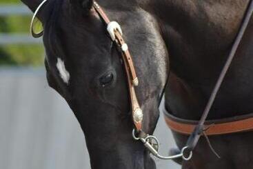 酒店 Pietra Cavalla Ranch & Resort