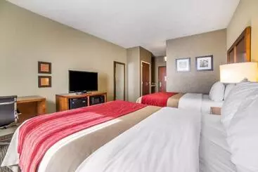 ホテル Comfort Inn & Suites