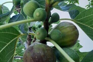 Nocleg ze śniadaniem Lu Masunu