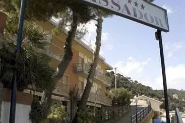 בית מלון כפרי Ambassador