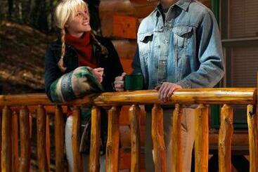 ペンション Log Cabins At Meadowbrook Resort