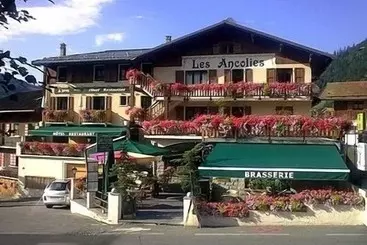 בית מלון כפרי Logis Hôtel Les Ancolies