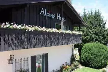 Отель Alpina