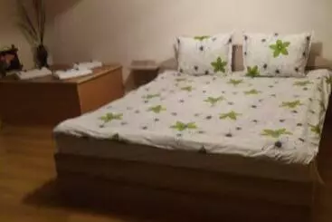 Pensionat бащината къща