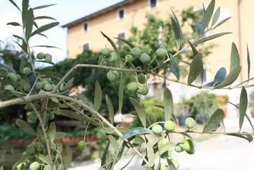 B&b Al Frantoio