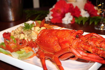 Coral Quays Fish And Dive Resort