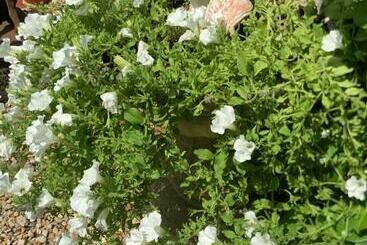 مبيت وإفطار La Grange