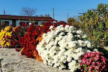 אתר נופש Kosta Bungalows