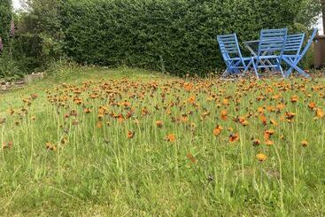 Cosy Cottage, Four Miles From Lincoln City Centre