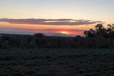 ホテル On Holiday Between Sky And Sea Geco Di Campiglia Pet Friendly Big Garden