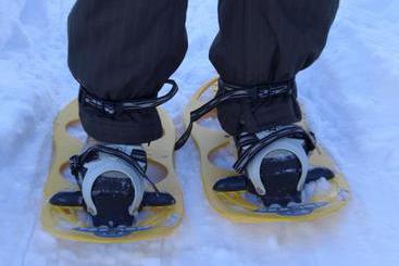 Сельский дом Bauernhof Haus Praxmarer