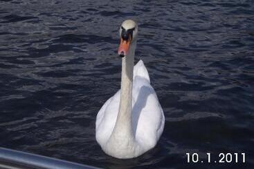 קוטג'' Gesundheitshof Lohninger