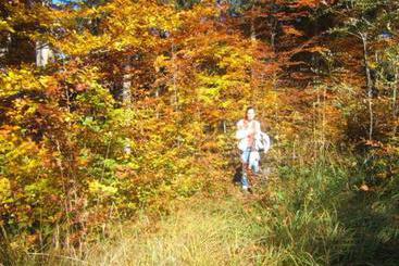 Talo Ferienhof Nussbaumer