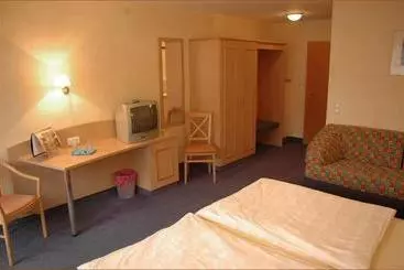 펜션 Gasthaus Grüner Baum