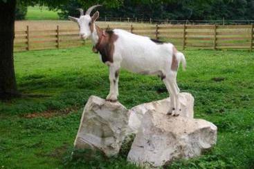 קוטג'' Bauernhof Fugger