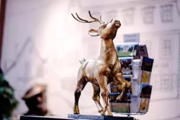 호텔 Goldener Hirsch