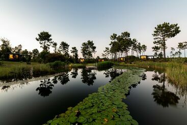 فندق Cocoon Eco Design Lodges