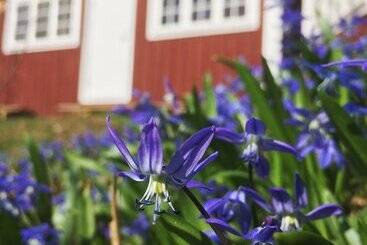 Mormors Bakeri  Bed & Breakfast