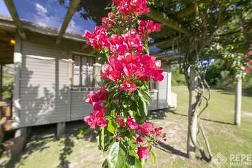 ペンション Vieja Hacienda