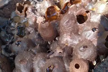 Majatalo Casados Ranch