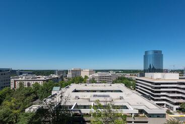 Pdc Luxury Apartment Tysons Corner