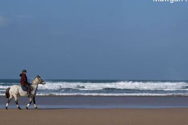 کلبه Seagulls Perch