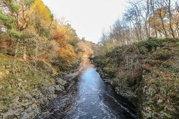 קוטג'' 1 Springwater View