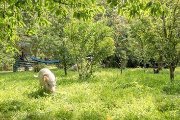 קוטג'' Eden Lodge