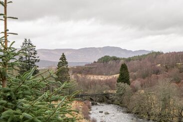 קוטג'' Wildcat Lodge