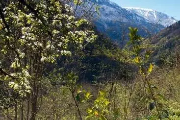 ホテル Ekodanitap Natural Life