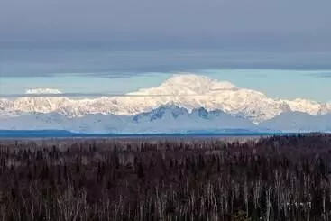 ホテル Denali Overlook Inn