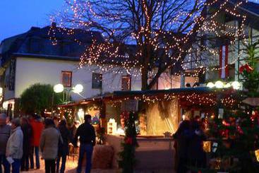 ホテル Zur Rheinschanz