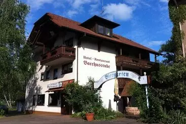 호텔 Bacchusstube Garni