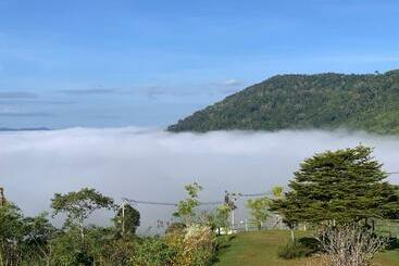 Bed and Breakfast Feel The Fog