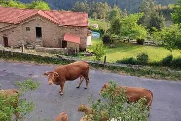 Pension  A Cuadriña