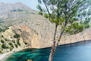 관광객 아파트 Can Luc Altea