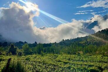 Basic Hut In An Orchard Rehn Village
