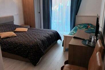 Pensiunea Vila Geany Srl