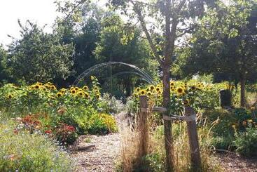 ベッドアンドブレックファースト De Geheime Tuin Huisje In T Groen