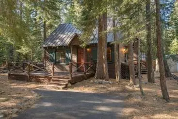 ツーリストアパートメント Owls Peak By Avantstay Private Pine Tree Cabin Mins From The Water