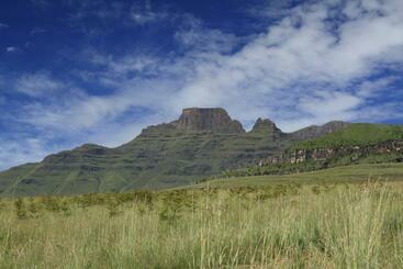 דירות לתיירים Drakensberg Vultures View