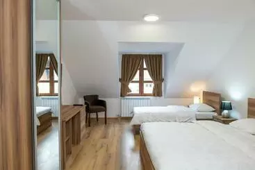 Pensiune Guest House Alte
