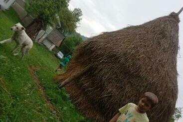 پانسیون Room In Guest Room Enjoy Your Holiday On Wonder Transylvania