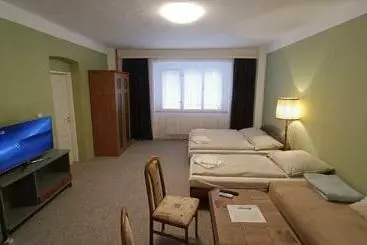 Majatalo Apartmán Horní Slavkov Hodinářství
